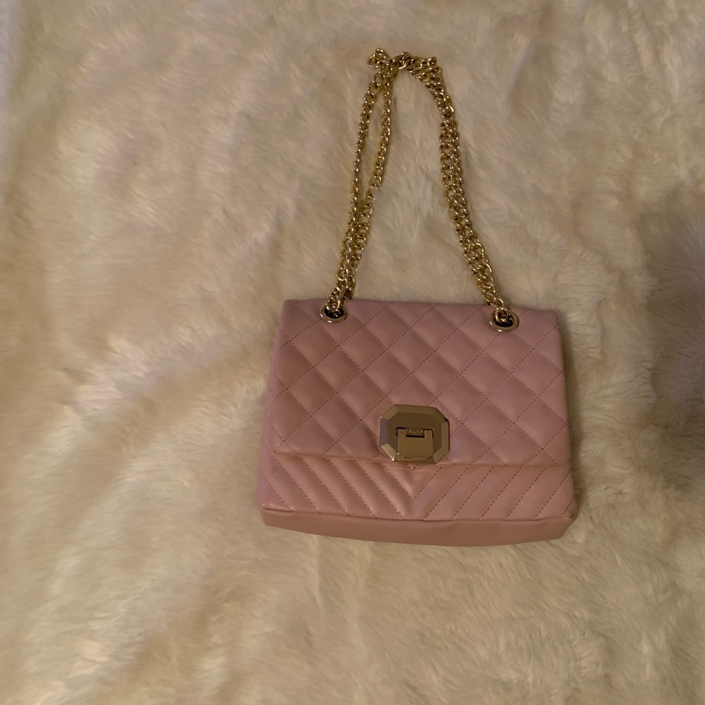 Aldo Mini Handbag
